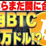 今ならまだ間に合う！9月にBTCが15万ドル到達！？🚀【ビットコイン】【仮想通貨バブル】【暗号資産】【投資】【副業】