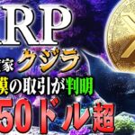 【リップル最新】リップルCEOが50ドル超えの強気発言！大口投資家クジラがガチホ確定！【仮想通貨】【シバコイン】【イーロンマスク】【ビットコイン】【SHIB】【XRP】【DOGE】【リップル】【最新】