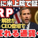 【速報】Ripple CEOが米上院で発言へ！XRP爆上げのカウントダウンが始まった！？