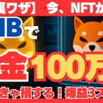 【極秘裏技】SHIBで即金100万円!?知らなきゃ損するNFTで爆益法!!　#SHIBNFT#NFT爆益#ミーム投資#仮想通貨初心者#柴犬コイン