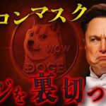 X決済銘柄はドージではなく、リップルが適している。