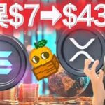 XRPクジラ特大ロング ビットコイン23万ドル圏内 ソラナ驚異の上昇の兆し