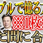 【リップル最高値更新!!】まだまだXRPで稼げます！【ビットコイン】