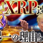 リップルが世界一⁉️XRP価格高騰との関係値徹底解説❗️