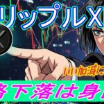 最新【リップルXRP】クジラによる積極的な買い増し！、最近の価格下落は共同創設者の取引所への送信が要因！