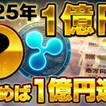 【リップル(XRP)1024円へカウントダウン！】買い時を知りたいなら　今すぐ視聴しろ！ あなたから金を増やす　リップルXRPが大チャンス！