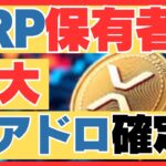 XRP保有者に12億NIGHTが配布開始！Cardanoが放つ歴史的エアドロップの真相