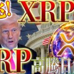 リップル高騰日徹底解説❗️XRP爆上げの要因は13兆円企業❗️