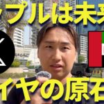 【XRP】リップルの2年後がヤバイ！ダイヤの原石なんだよ！