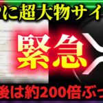【XRP緊急速報】大物サイン済で価格が200倍に！？