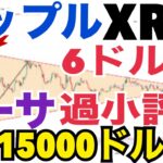 リップル（XRP）6ドル到達！？イーサリアム年末15000ドル！？イーサリアム「過小評価」されている！？