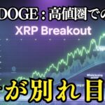 XRPとDOGEが分岐点に突入！仮想通貨は今、買うべきか？引くべきか？