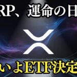 XRP「ETF決定の日」到来！市場が揺れる中でDOGEは大暴落…その理由とは？
