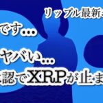 リップル（XRP）にETF好材料！UXRP ETFが米取引所で承認、価格高騰に期待