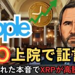 【速報】XRPが高騰反応！Ripple CEOが上院で語った“本音”を徹底解説！ #XRP  #ripple #リップル