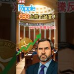 XRPが高騰反応！　Ripple CEOが上院で証言、その“本音”とは？ #XRP  #ripple #リップル