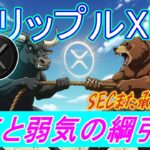 最新【リップルXRP】強気と弱気の綱引き！SECが、インデックスETFの承認をまたも一時停止！