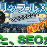 最新【リップルXRP】SECがイーサリアムETFのステーキング承認を延期！？ドイツ系銀行が暗号を拡大！
