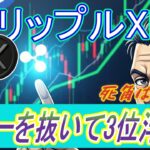 最新【リップルXRP】USDTテザーを抜いて３位に浮上！ XRP は爆発する準備ができてる！ピーターブラント氏