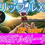 最新【リップルXRP】XRP Ledger上に登場：ブラジルVERTが1億3,000万ドルの農業債権をトークン化！トランプ発言で市場は急落！