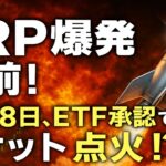 【XRPリップル】XRP爆発寸前‼7月18日が運命の分岐点！ETF承認→3ドル、5ドル、10ドルへ⁉