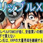 最新【リップルXRP】XRPは貪欲なレベルFOMOが低く、安値買いの候補！クリス・ラーセン氏は、XRPの大量売却を継続する可能性！