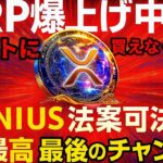 リップルさんまた上がるんすか??天才法案でXRP価格爆上げの理由全て話すわ!!#仮想通貨#リップル#暗号資産#caw#ビットコイン#NFT#ETH#Solana#XRP#bybit