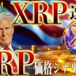 リップル価格シナリオ徹底解説❗️高騰パターン形成で最高値更新なるか⁉️