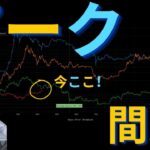 【元証券アナリスト】ビットコイン・仮想通貨は最後の上昇を開始！？過去のサイクルに基づくと、市場ピークは〇月。
