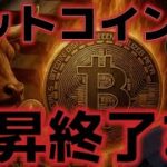 ビットコイン上昇相場は終了か？？アルトシーズンはまだ続く！？