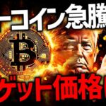 ビットコイン強い！その理由と次のターゲット価格は？