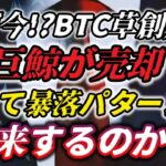 なぜ今！？ビットコイン草創期の巨鯨が売却…そして暴落パターンが再来するのか？