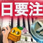 リップル世界銀行になるか?仮想通貨の先行指標が過去最高を更新