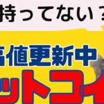 【過去最高値更新】今こそ始めるビットコイン投資！初心者向け始め方ガイド