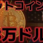 ビットコイン２３万ドルに到達する！？トランプ関税を乗り切り、強気シグナルが出ている！？