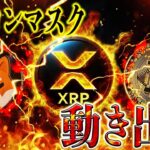 イーロン革命【リップル、ビットコイン、ドージの未来を彼が変えます】