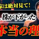 日本株投資家は絶対見て！今日株が下がった本当の理由を解説します。