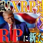 リップル価格高騰日徹底解説❗️高騰銘柄発表❗️トークン化トレンドとは…？