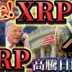 【リップル価格高騰日徹底解説❗️】ついに動き始めた大口投資家の影響か⁉️