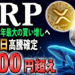 【速報】ついに1000円突破か！？リップルクジラが動く！2025年最大の買い増しで30％超え確定！【仮想通貨】【シバコイン】【イーロンマスク】【ビットコイン】【SHIB】【XRP】【DOGE】【最新】