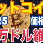 ビットコイン2025年末に18万ドル！？下落しても買いが止まらない衝撃のワケ