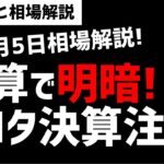 【8月5日のゆるっと相場解説】決算で明暗！どうなる日経平均！トヨタ決算に注目！ズボラ株投資
