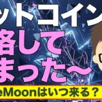 ビットコイン（BTC）下落してしまった〜！〜ToTheMoonは一体いつ来るのか？来ないのか？