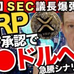 【リップルニュース】ここで仕込んでください🚀ETF承認の背景と上昇・下落両方のシナリオを徹底解説！【仮想通貨XRP最新情報】