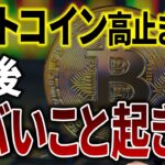 【市況解説と予想】高止まりしているビットコインの今後はどうなる？ 大口投資家の動きやMVRV分析を踏まえた今後の予想を解説します。