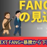 【新NISA】8.06FANG+の見通し｜iFreeNEXT FANG+暴騰から下落に！AI進化でリストラ加速！？