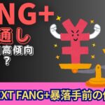 【新NISA】8.14FANG+の見通し｜iFreeNEXT FANG+暴落手前の値動き！ドル安円高は来る！？