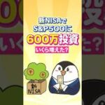 【驚愕】新NISAでS&P500に600万投資したらいくら増えた？