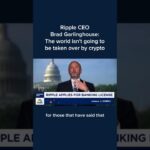 Ripple CEO Brad Garlinghouse The world isn’t going to be taken over by crypto