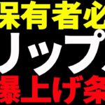 ⚠️XRP保有者必見⚠️リップルが今後爆上げするための条件を教えます！【仮想通貨】